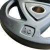 Olympic TRI-GRIP Plate