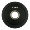 Fractional Bumper Plate