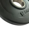 Fractional Bumper Plate
