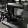 Seated Leg Curl Strength Machine