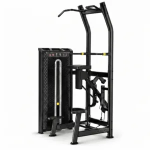 Assisted Chin/Dip Multifunctional Station