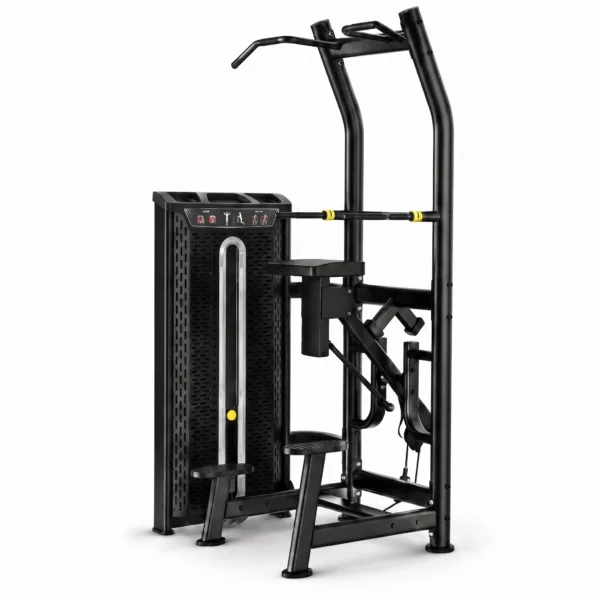 Assisted Chin/Dip Multifunctional Station