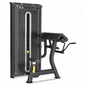 Biceps Curl Strength Machine